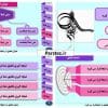 قالب پاورپوینت پایان نامه رایگان
